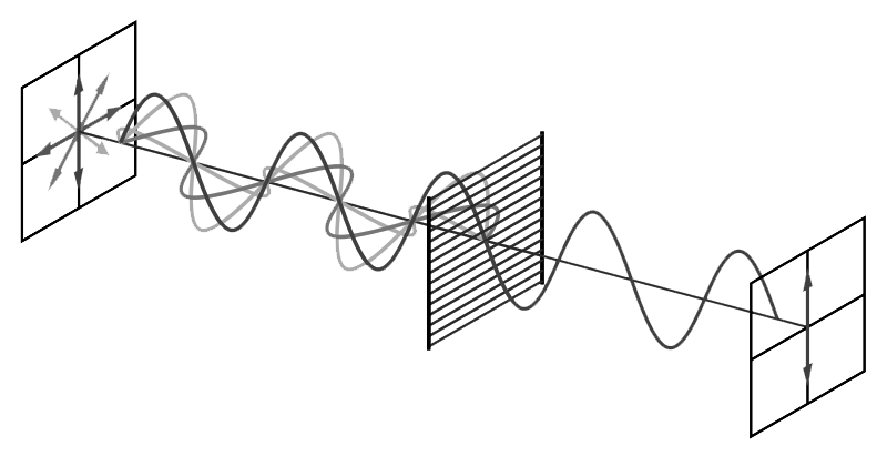 線偏振示意圖 線偏振示意圖