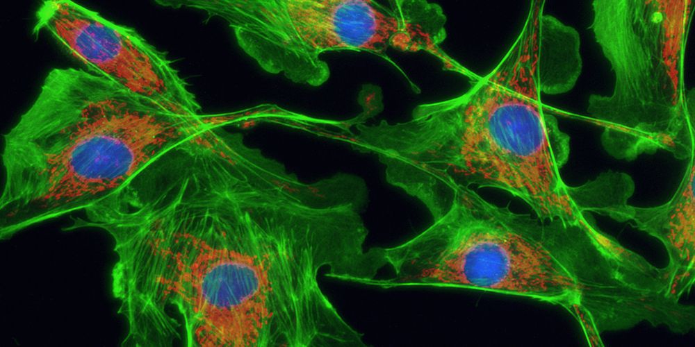 濾光片的作用 濾光片的作用