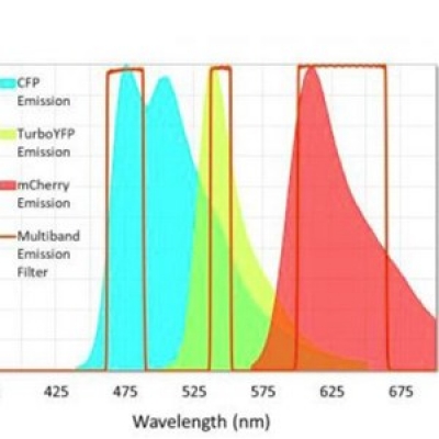 Alexa Fluor系列熒光染料濾光片產(chǎn)品特點(diǎn)